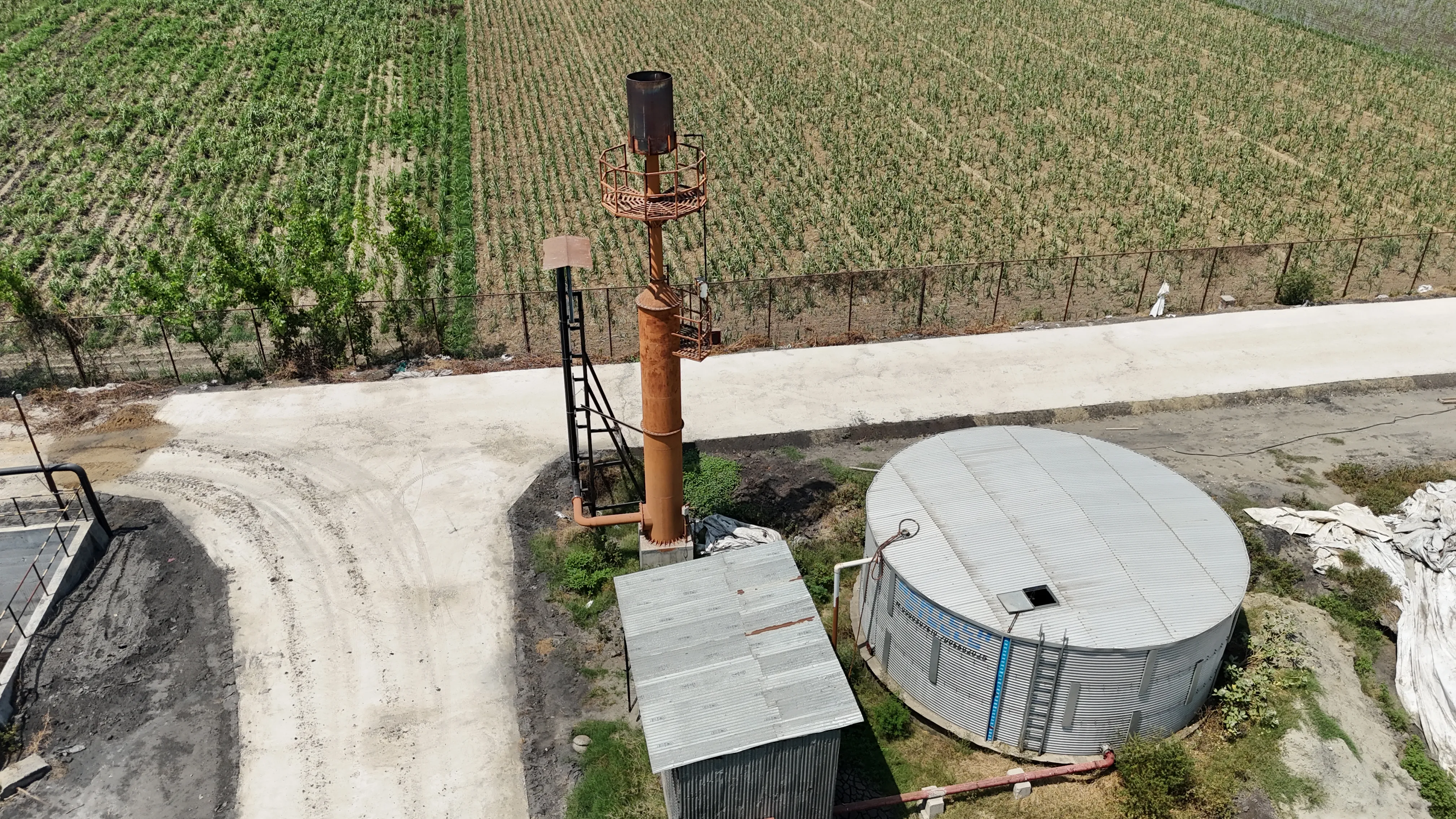 Biogas flare with adjacent sugarcane field at the Circle CBG Meerut plant